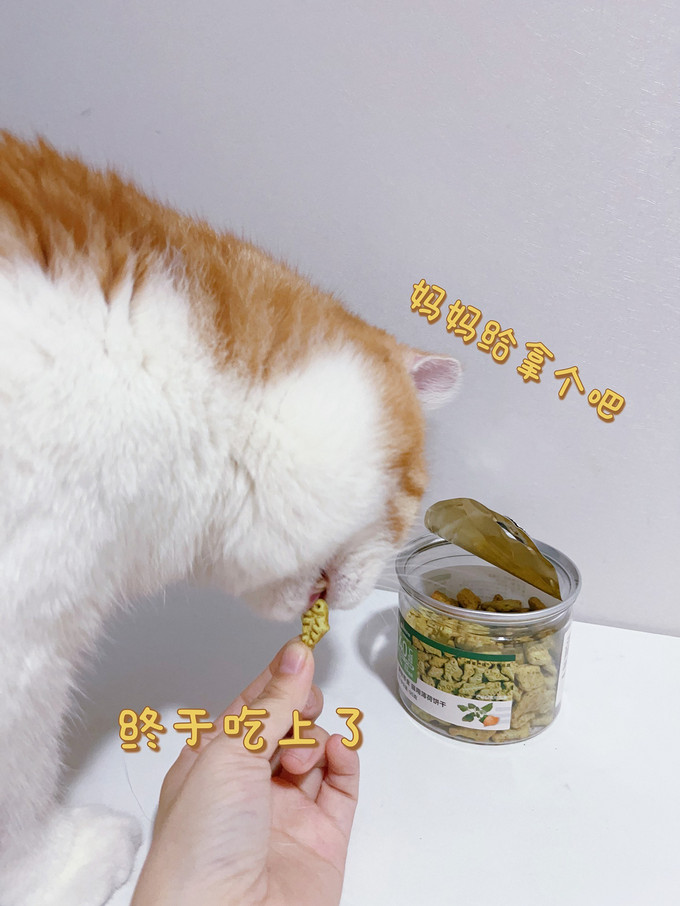 网易严选猫咪零食罐/妙鲜包