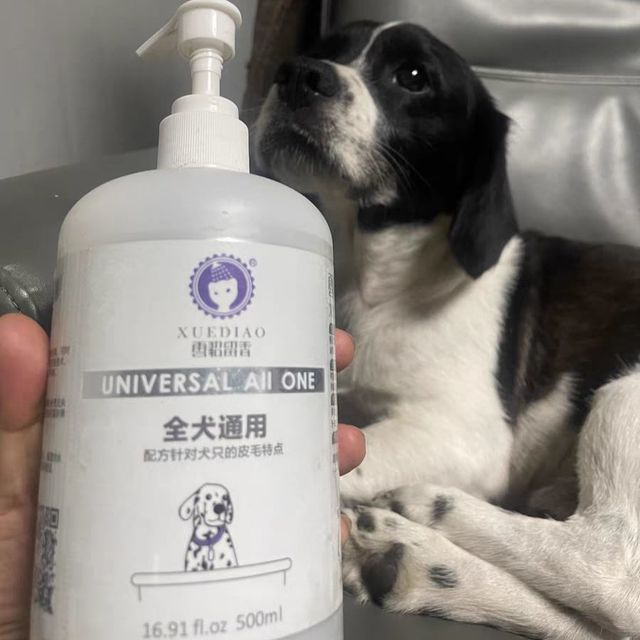 狗狗的洗澡液