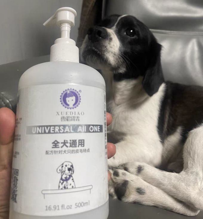 宠物护毛素