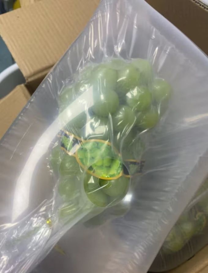 新鲜水果