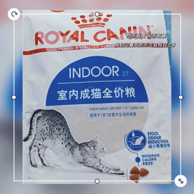 猫咪干粮