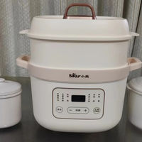 想喝炖汤方便多了-小熊电炖锅