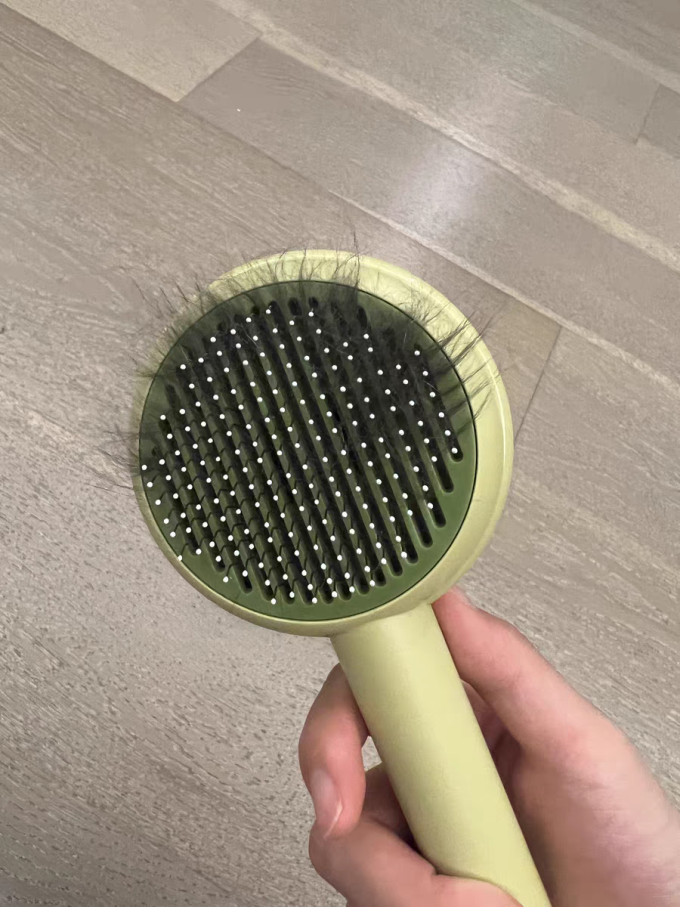 宠物洗护美容