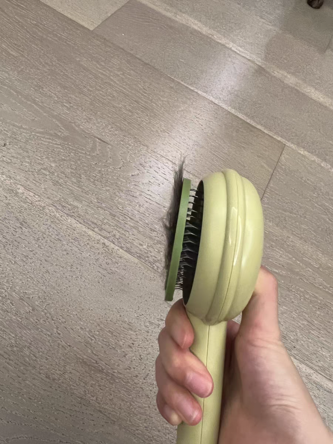 宠物洗护美容