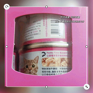 最宠（Paddy Time）泰国进口猫罐头 金枪鱼吻仔鱼