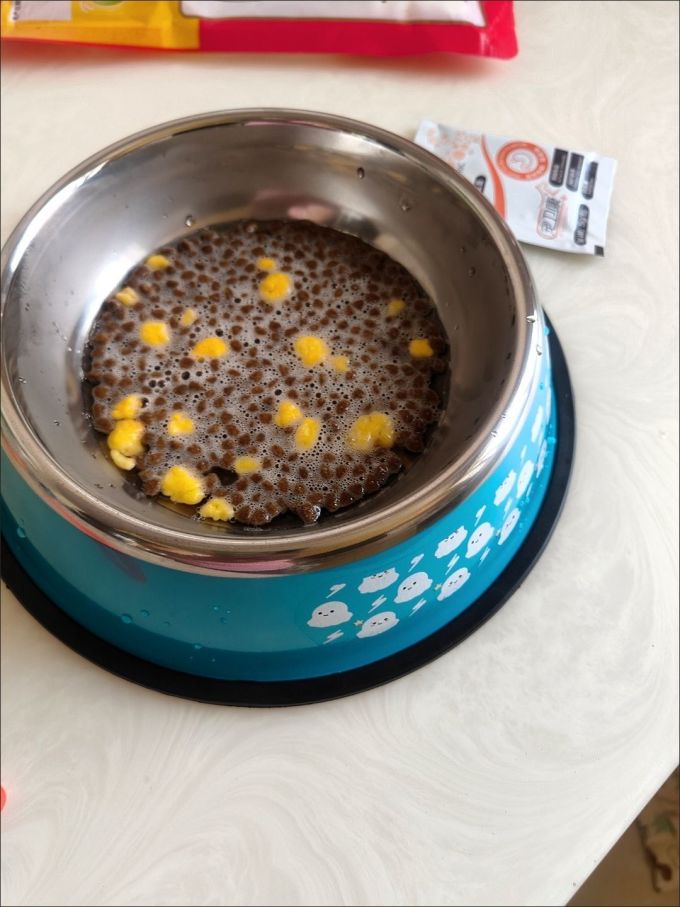 宠物食具水具
