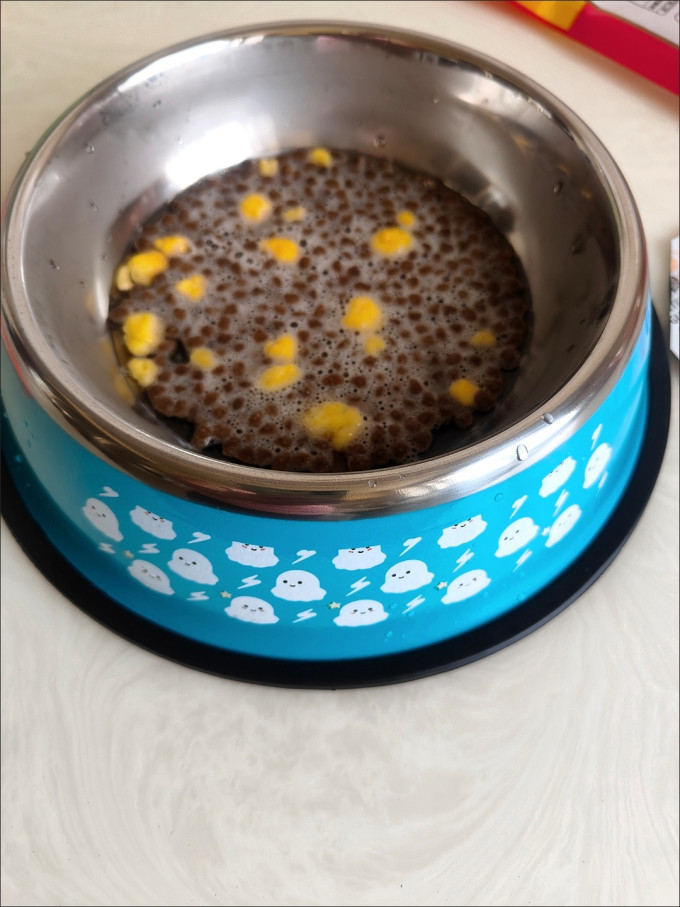 宠物食具水具