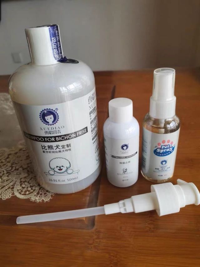 经常给狗狗洗洗澡