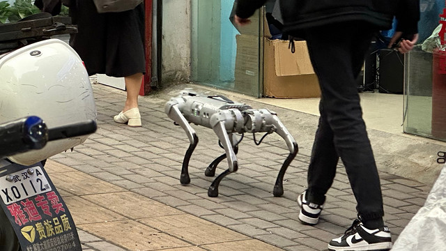 今天在科技城看到一只小狗🐕机械狗狗