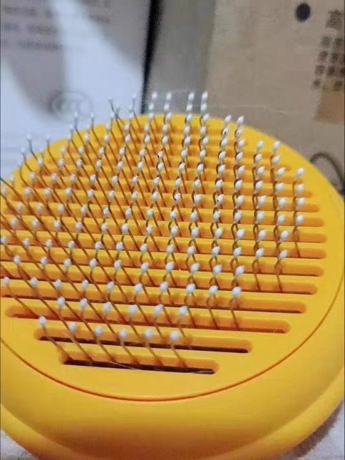 宠物洗护美容