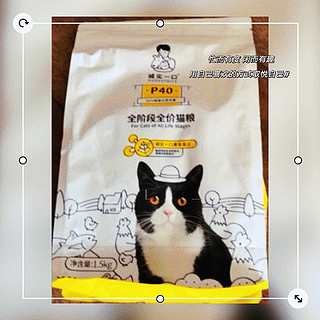 诚实一口P40高蛋白成猫幼猫全期全价增肥发腮猫粮1.5kg