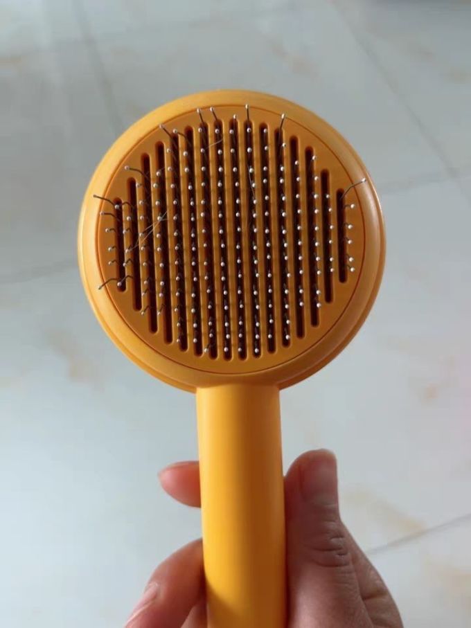 宠物洗护美容