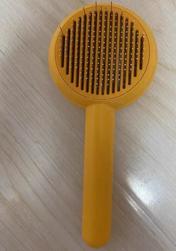 宠物洗护美容