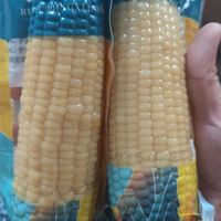 买最实惠的一次穗康，强东家的品质真好太多