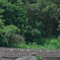漳州之旅