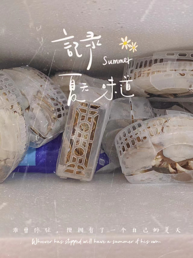 蟹类
