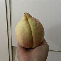 来自家乡的美食特产---大蜜桃