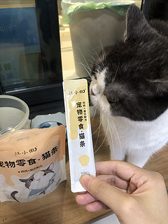 江小傲猫条，闻着就是香！