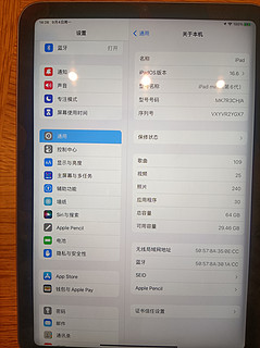 玩游戏还是用Apple iPad mini