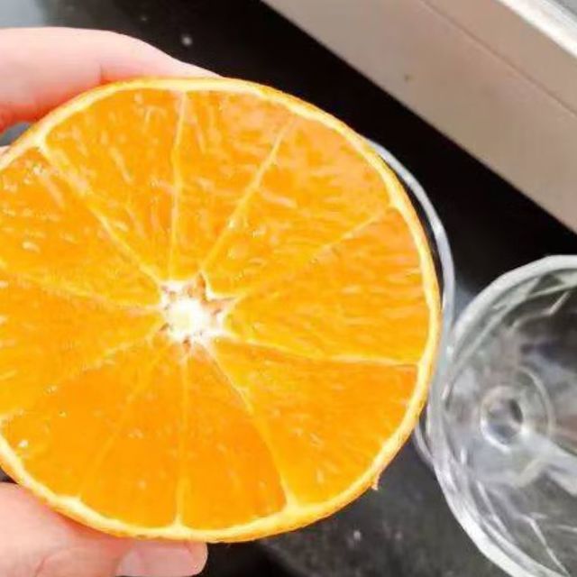 带上这些水果出发