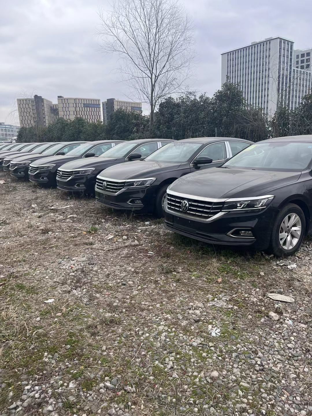 库存3年,1.4t帕萨特裸车行情13万8