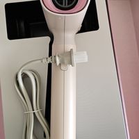 439的松下 EH-WNA0H到货了