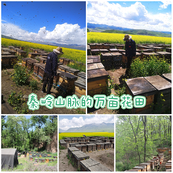 中秋送礼，除了月饼和茶叶，还有什么可送的呢，高大上点的？
