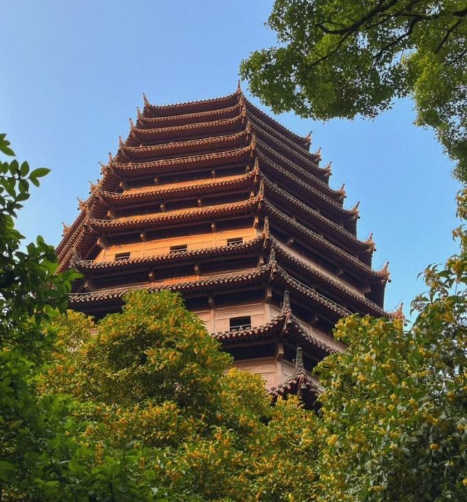 安踏运动长裤
