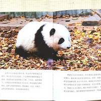 绘本分享 篇十八：有了《熊猫花花》这本书，孩子们在家就能看熊猫界的顶流大明星啦！