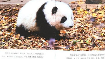 绘本分享 篇十八：有了《熊猫花花》这本书，孩子们在家就能看熊猫界的顶流大明星啦！