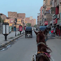 埃及旅行 篇三：从飞机到轮船，从火车到马车，埃及国内的各种交通方式，我体验了个遍