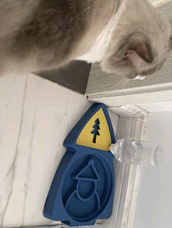 HELLOJOY猫碗狗碗双碗宠物自动饮水器不湿嘴猫食盆防打翻深 蓝黄色