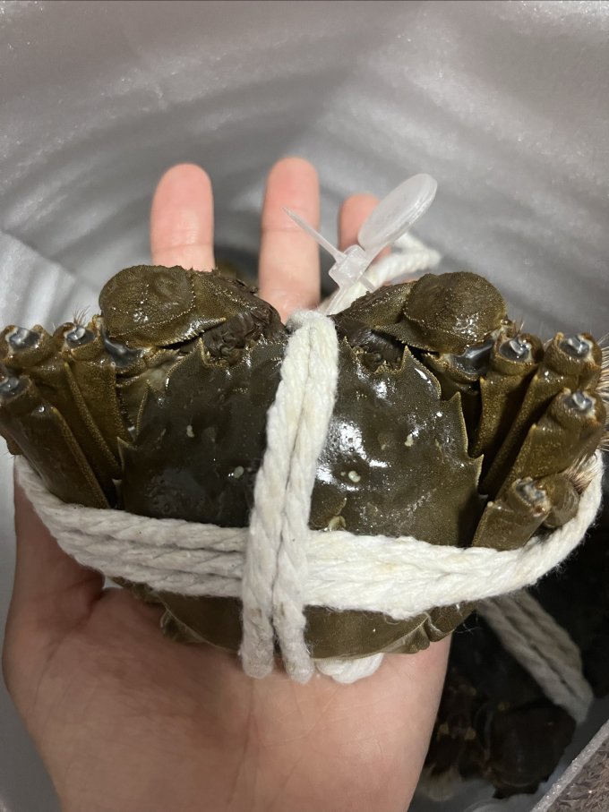 节日食品