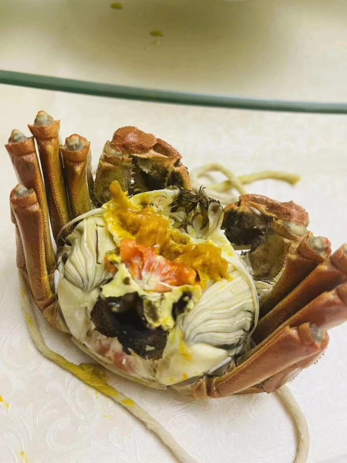 阳澄联合蟹类