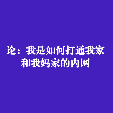 国庆宅家搞点啥：要不打通我家和我妈家的内网？