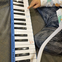 你们小学生音乐课教口风琴吗？不错哟！
