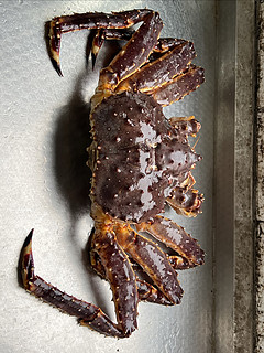 【第一次吃帝王蟹，惊叹于它的鲜美口感!】