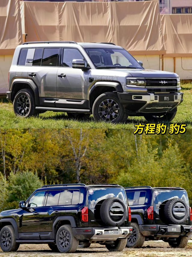 🚙方程豹豹5哪个版本值得买？