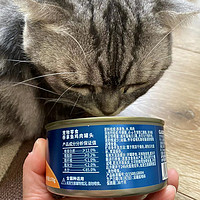 2.3一罐，还是180g，麦富迪的罐头让猫咪实现了罐头自由！