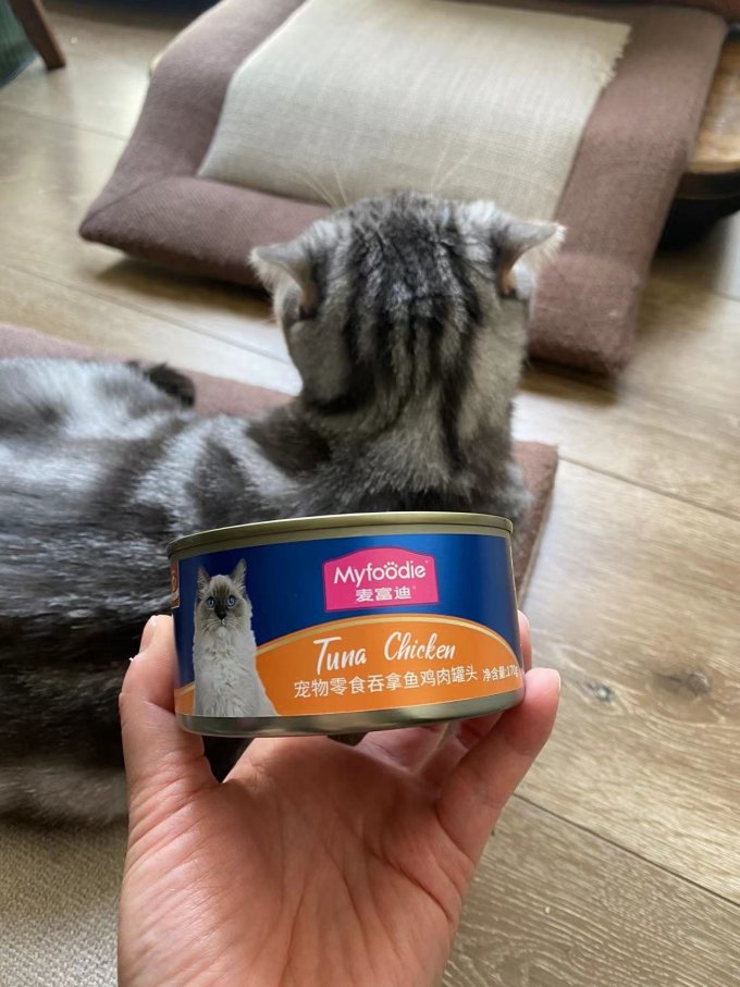 麦富迪猫咪湿粮/罐头