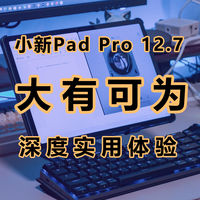 新任卷王，大有可为，小新Pad Pro 12.7全方位使用体验