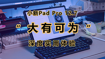 新任卷王，大有可为，小新Pad Pro 12.7全方位使用体验