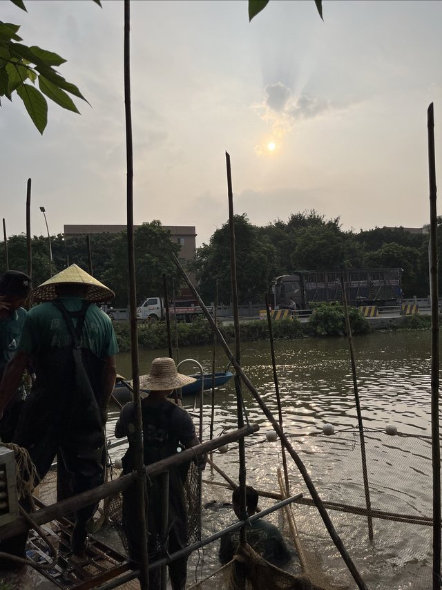 这才是养殖人最高兴的时候