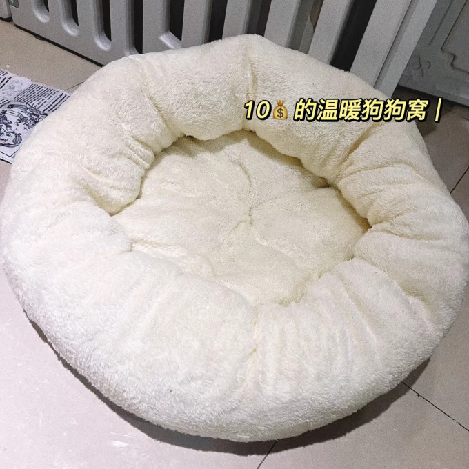 猫狗窝