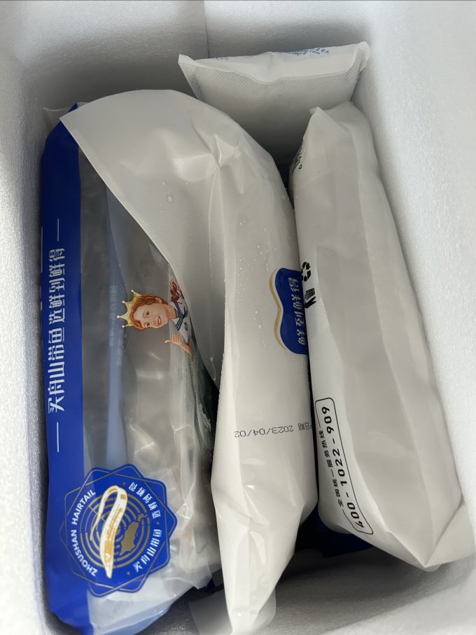 鲜到鲜得鱼类