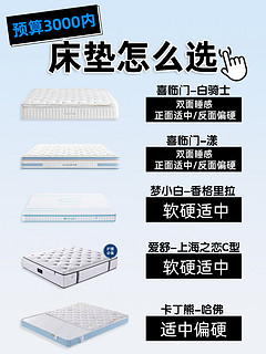 👯预算3000- 床垫怎么选❓附攻略🧾 
㊙️如何低预算买高等床垫，看这篇🫵 
