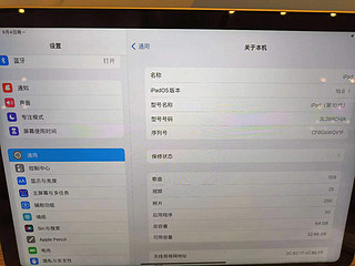 用Apple iPad玩游戏