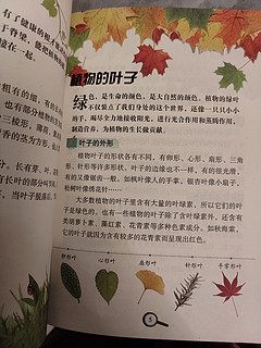 一套科普书，教会孩子科学思维和探索精神，更可激发阅读兴趣！