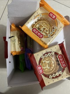 包装好看里面散乱的桃李心意礼月饼礼盒
