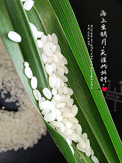 福临门小粒米种